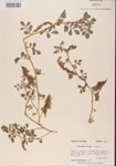 000001463-thumbnail.jpg