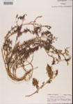 000001465-thumbnail.jpg
