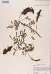 000001469-thumbnail.jpg