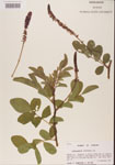 000001471-thumbnail.jpg