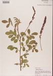 000001473-thumbnail.jpg