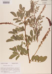 000001475-thumbnail.jpg