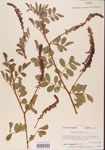 000001476-thumbnail.jpg