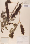 000001478-thumbnail.jpg
