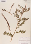 000001483-thumbnail.jpg