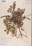000001485-thumbnail.jpg
