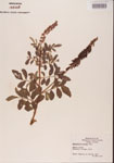000001488-thumbnail.jpg
