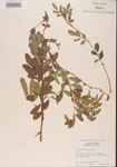 000001489-thumbnail.jpg