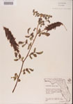 000001490-thumbnail.jpg