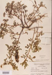 000001491-thumbnail.jpg