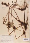 000001494-thumbnail.jpg
