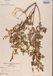 000001497-thumbnail.jpg