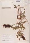 000001499-thumbnail.jpg