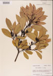 000001503-thumbnail.jpg