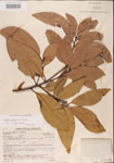 000001507-thumbnail.jpg