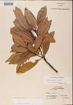 000001508-thumbnail.jpg