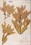 000001513-thumbnail.jpg
