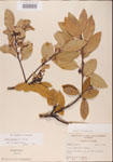 000001530-thumbnail.jpg