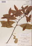 000001535-thumbnail.jpg