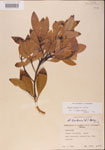 000001538-thumbnail.jpg