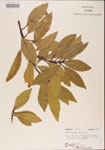 000001540-thumbnail.jpg