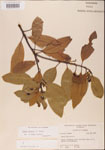 000001543-thumbnail.jpg