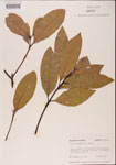 000001544-thumbnail.jpg