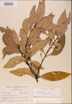 000001546-thumbnail.jpg