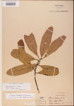 000001547-thumbnail.jpg