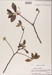 000001550-thumbnail.jpg