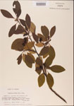 000001552-thumbnail.jpg