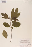 000001563-thumbnail.jpg