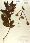 000001564-thumbnail.jpg