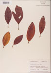 000001574-thumbnail.jpg