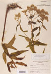 000001578-thumbnail.jpg