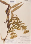 000001579-thumbnail.jpg
