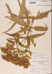 000001580-thumbnail.jpg