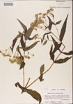 000001583-thumbnail.jpg