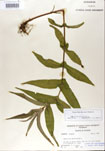 000001588-thumbnail.jpg