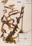000001589-thumbnail.jpg