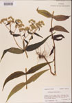000001598-thumbnail.jpg