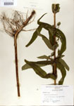 000001601-thumbnail.jpg