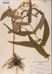 000001602-thumbnail.jpg