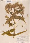 000001603-thumbnail.jpg