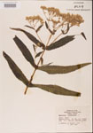 000001604-thumbnail.jpg