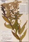 000001606-thumbnail.jpg