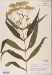 000001607-thumbnail.jpg