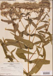 000001609-thumbnail.jpg
