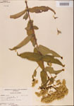 000001610-thumbnail.jpg