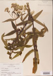 000001611-thumbnail.jpg